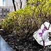 Enforcement Of New York's Plastic Bag Ban Delayed To June